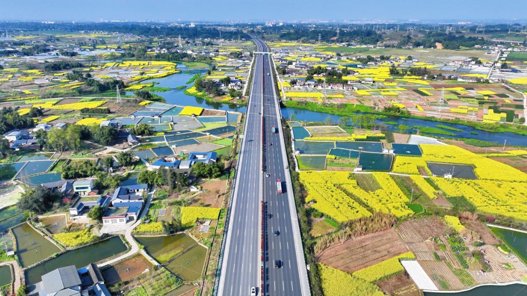 今年通车11公里！全省首条四改八经营性成乐高速扩容，意义究竟多重大？  第2张