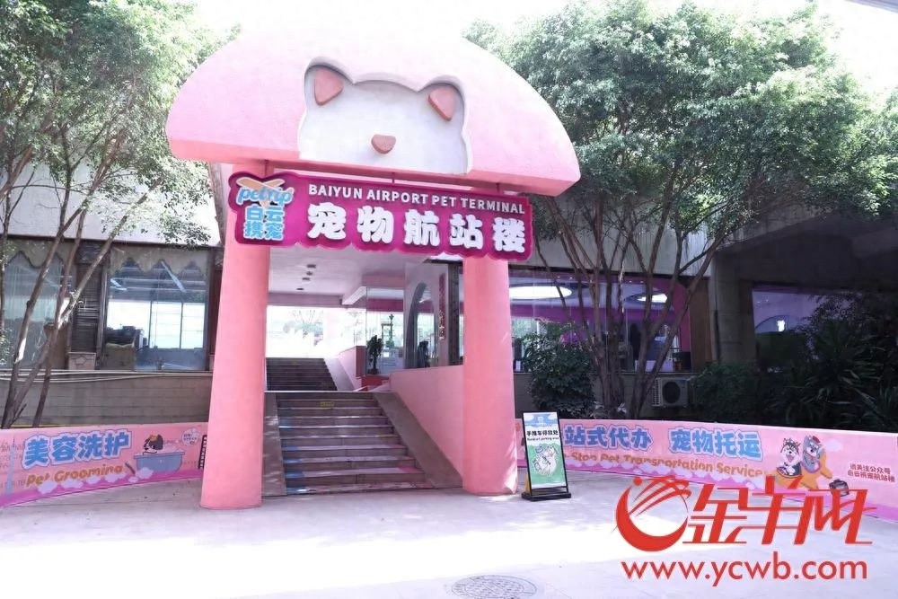 全国首个！广州白云机场宠物航站楼5月开放，最快2天一站式搞定宠物出行？