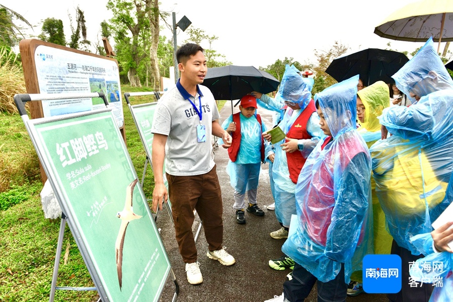 雨中观鸟热情不减！20名南国小记者如何在湿地公园开启奇妙生态之旅？  第2张