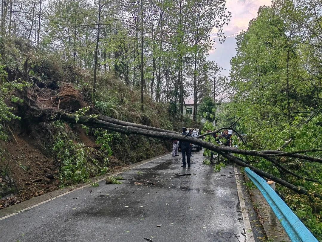 4月12日狂风暴雨突袭，泉坝民警与群众齐心清障，道路畅通靠他们？