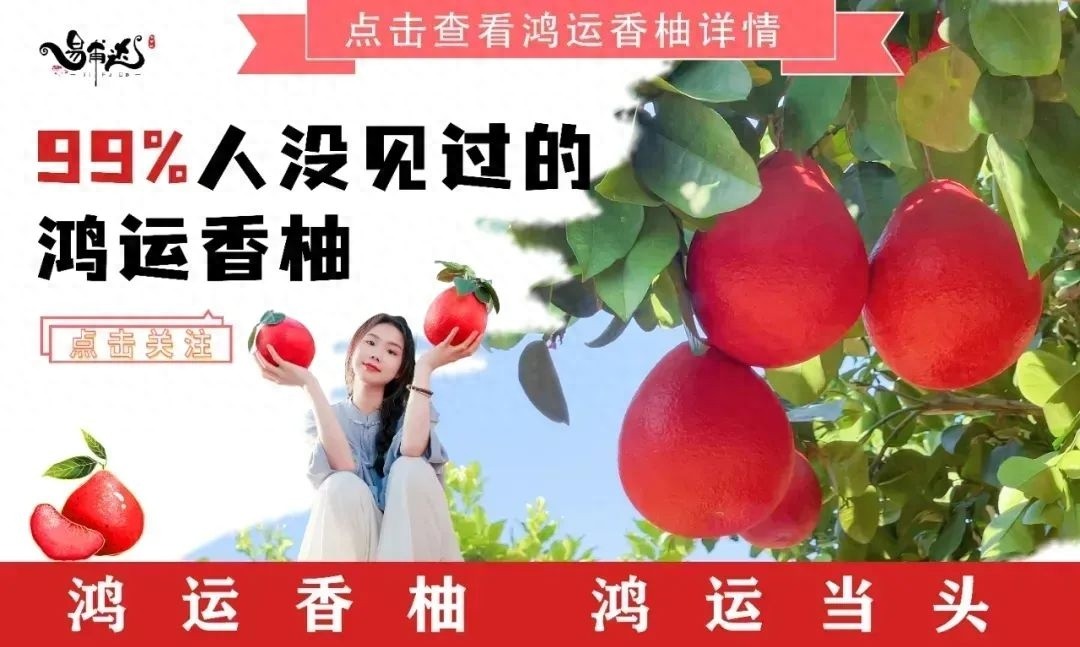 哇塞！广西苍容高速首个收费站主体结构封顶，后续工程值得期待