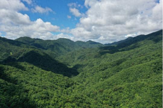 保护区新监测项目启动！为南亚热带森林生态系统带来啥变化？
