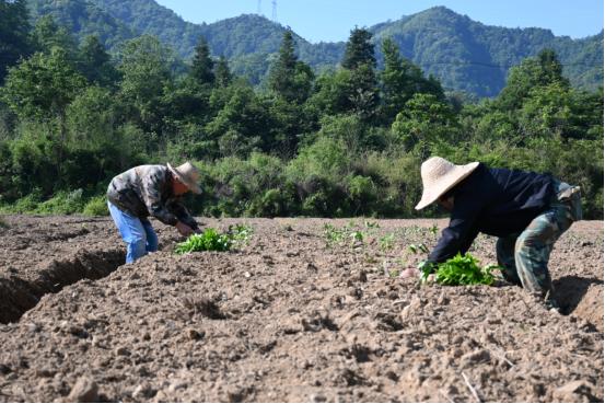 5月9日工信部批准发布冷冻臭鳜鱼行业标准？意义重大  第6张