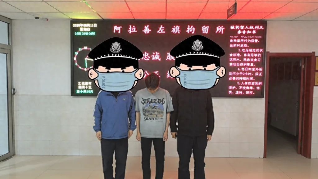 手机、奇石接连被盗！警方迅速出击抓获嫌犯，发生了什么？