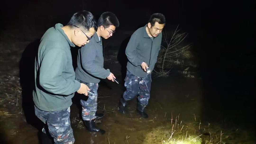 长白山护蛙专项行动收官！成效显著，非法捕猎者还能逍遥法外？  第4张