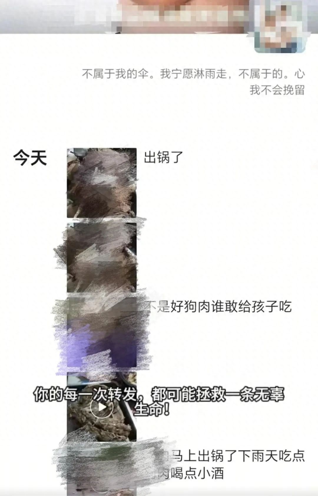 爱心领养流浪狗竟是骗局？老板残忍杀狗烹食引众怒