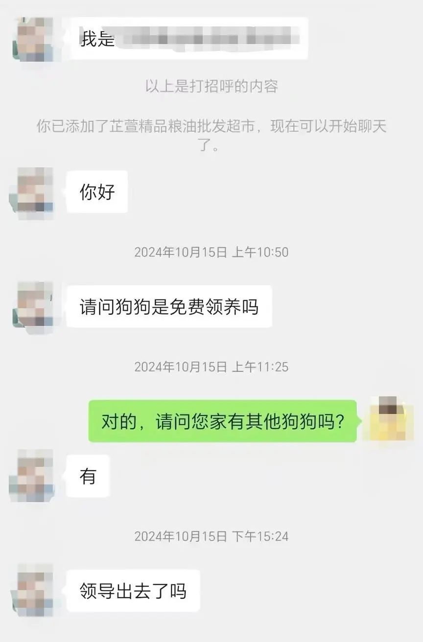 爱心领养流浪狗竟是骗局？老板残忍杀狗烹食引众怒  第3张