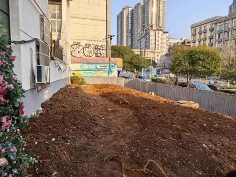 全民参与！三个月让荒芜地块变绿洲？这场花园革命太震撼  第2张