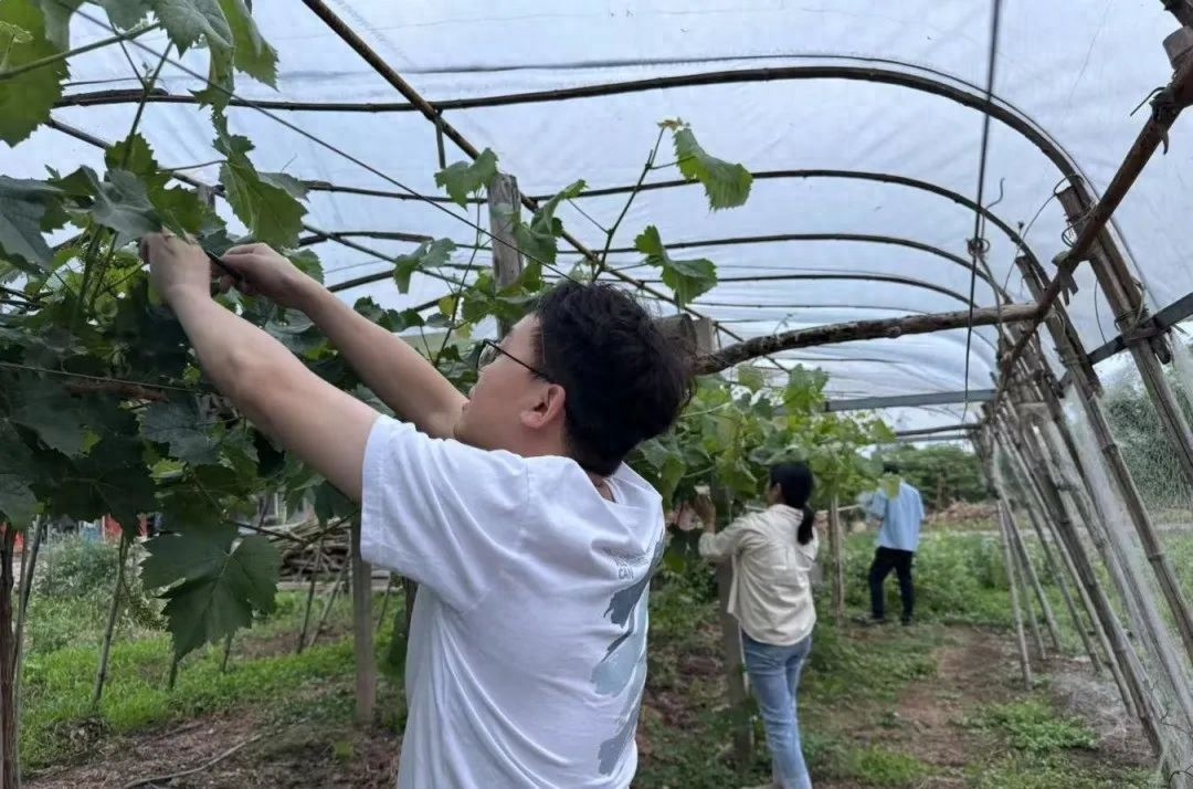 机关干部下乡体验农家生活？掌握农业技术的背后藏着啥秘密