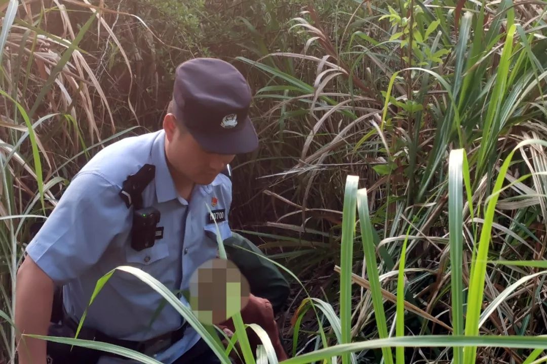 偏僻处惊现锈迹三轮车！民警搜寻，老人究竟遭遇了啥？  第2张