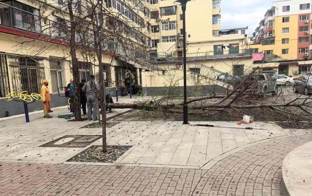 建国社区流动办公进小区！服务窗口楼下摆，咋做到的？  第4张