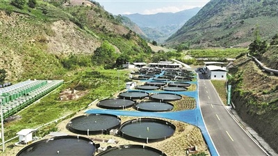 元阳县渔业大丰收！6000吨产量增长13.6%，你知道咋做到的？
