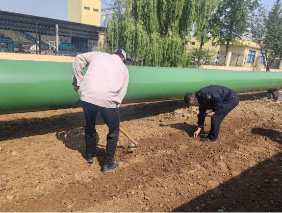 夏季雨水丰沛时节，竟有人擅自占用公共绿化带？整治行动来了  第3张