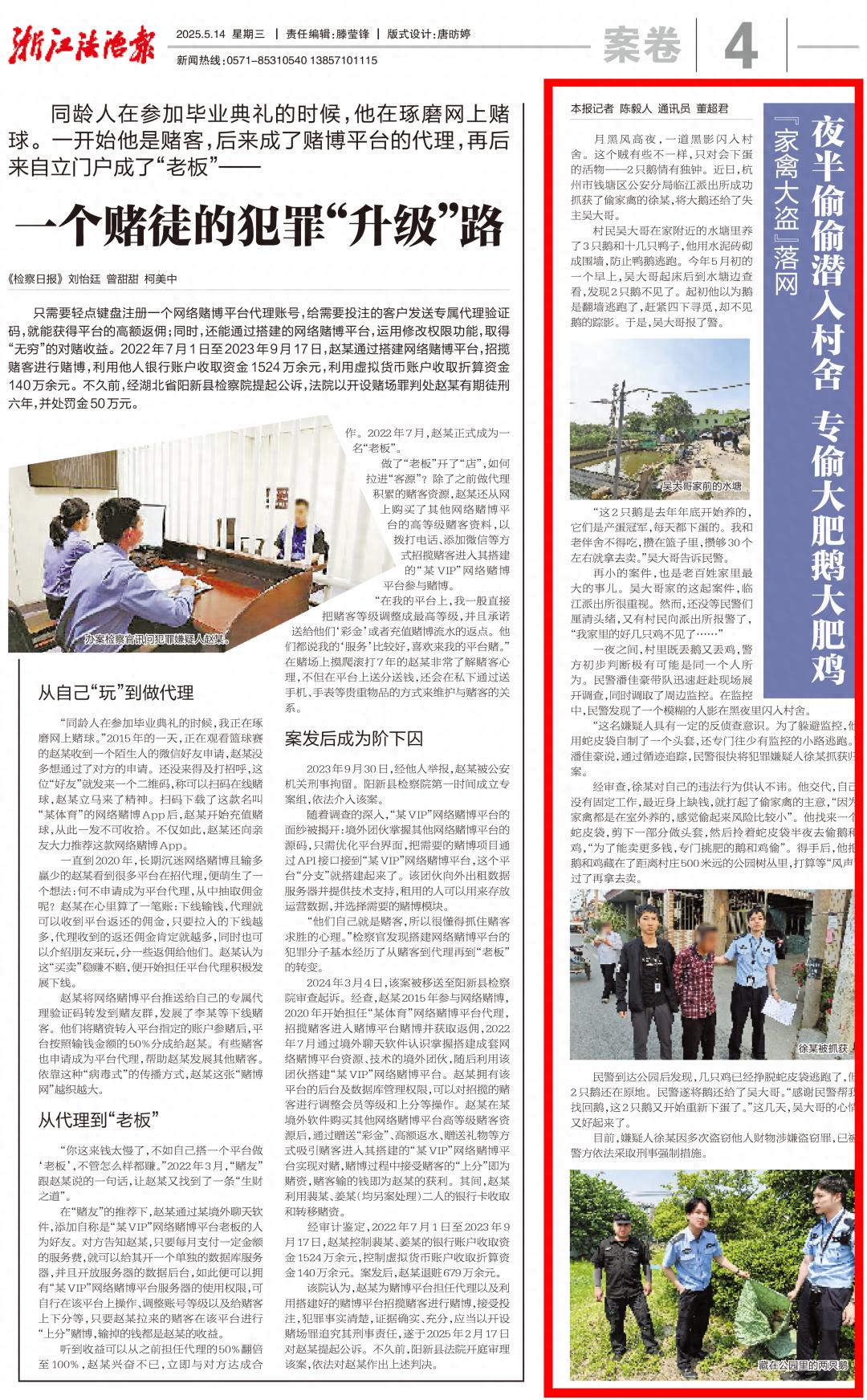 月黑风高夜贼竟专偷鹅？杭州这起偷家禽案背后藏着啥秘密