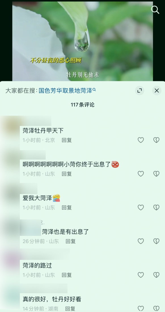 国色芳华热播引爆菏泽牡丹销量！40万盆预售背后有何秘密？  第4张