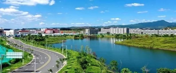 2025年广州将如何引领全省发展？40处提及的背后藏着什么大动作  第5张