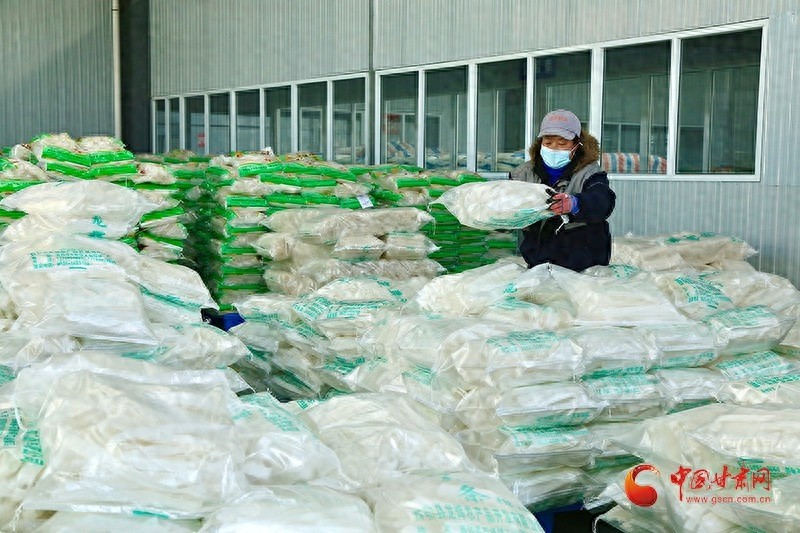 西和县如何通过特色产业实现乡村振兴？揭秘粉条生产线背后的惊人变化  第1张