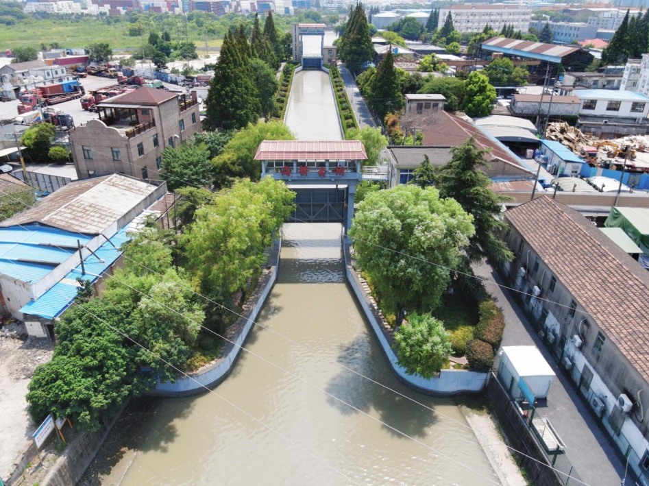 浦东四大水闸守护者：你知道它们背后的故事吗？  第10张