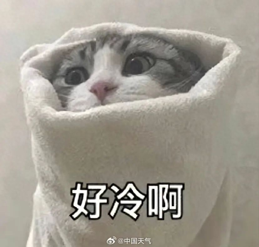 杭州今晨迎来2025年第一场雪！明后天最低气温将达-3到-6℃，你准备好了吗？