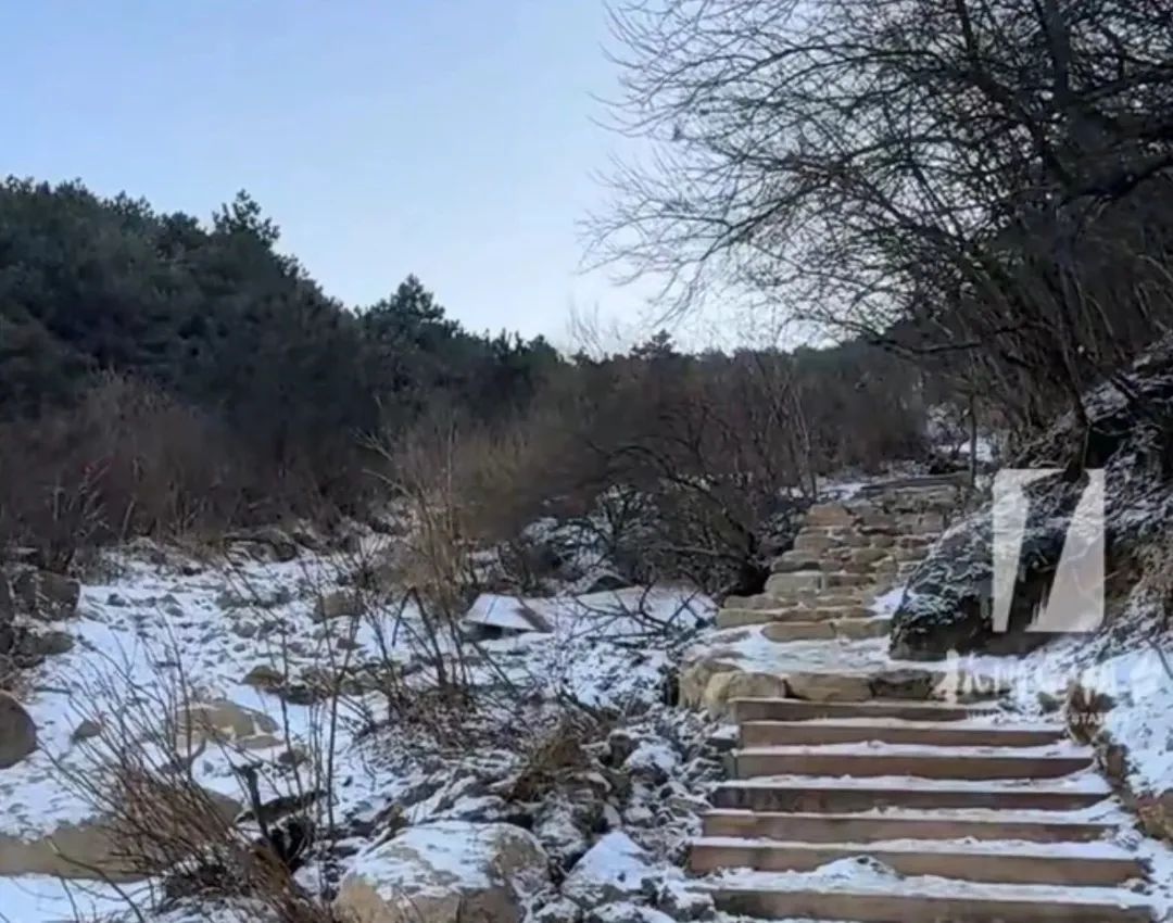 杭州今晨迎来2025年第一场雪!明后天最低气温将达-3到-6℃,你准备好了吗? 第2张 杭州今晨迎来2025年第一场雪!明后天最低气温将达-3到-6℃,你准备好了吗? 第2张