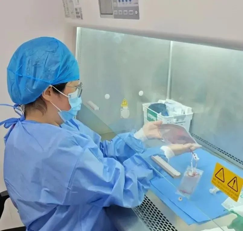 3岁罕见病患儿通过脐血移植重获新生！上海儿童医学中心贵州医院创下首例奇迹  第2张