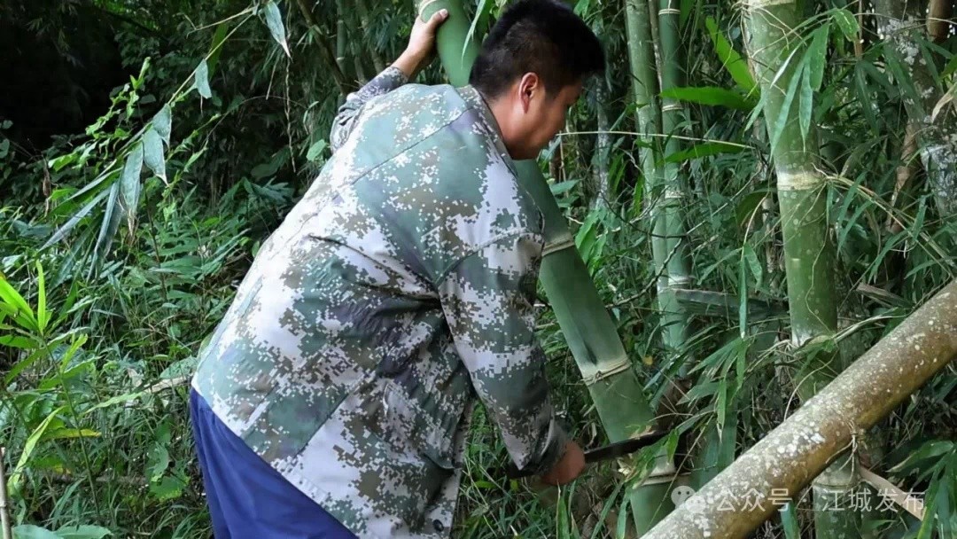 曲水镇的竹筒佳肴：为何这里的竹筒饭香气四溢，让人垂涎三尺？  第1张