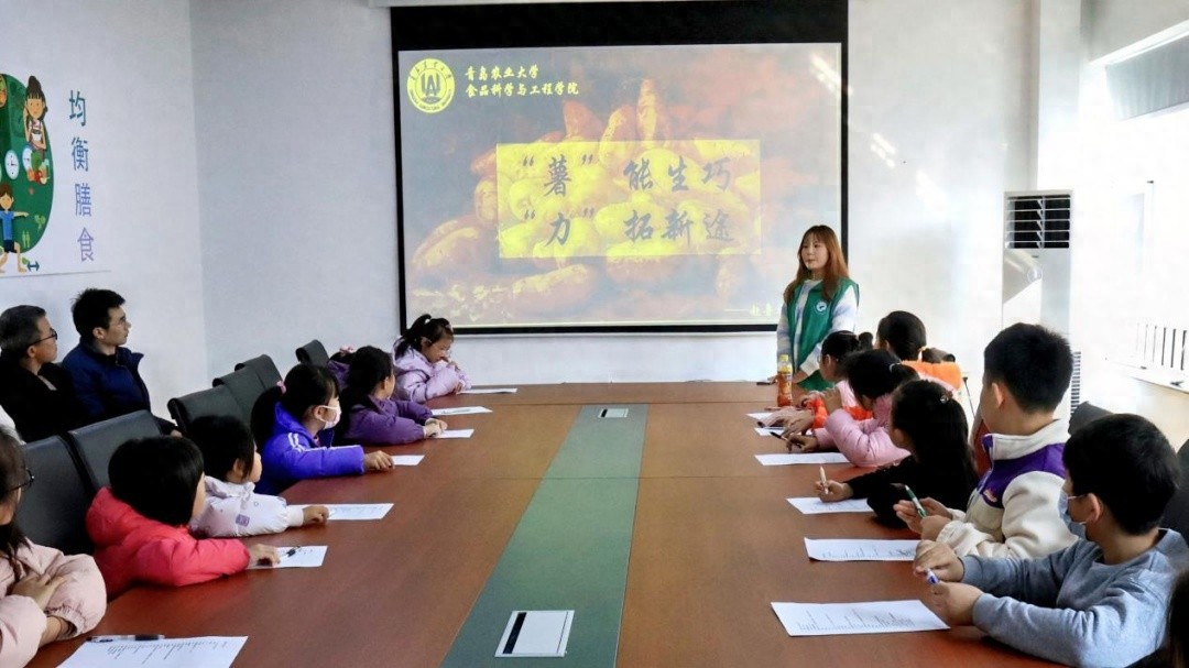 大学生变身历史导游，带你穿越时空探索红薯雪糕的奇妙旅程  第1张