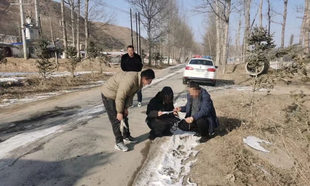 运费纠纷升级！被告竟将钢管拉回家，法院如何巧妙调解？
