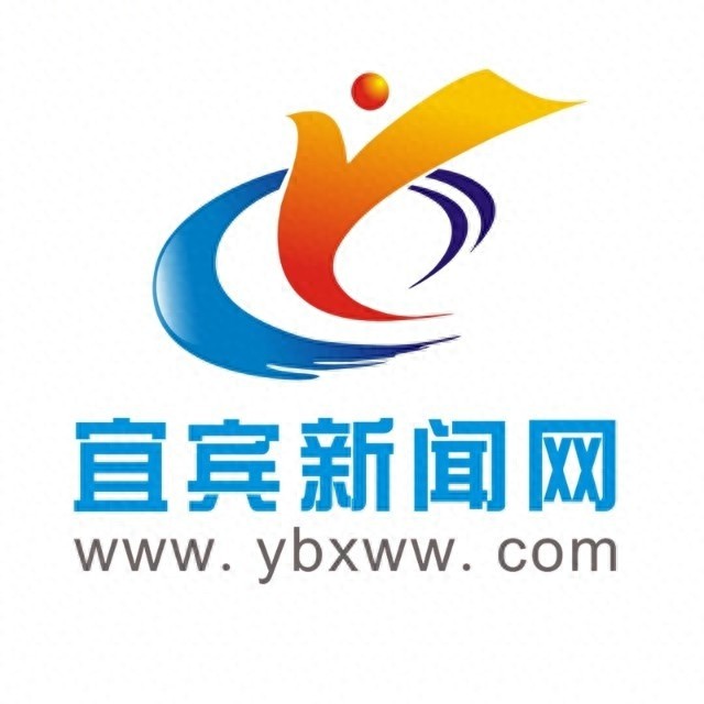 2025春运大幕拉开！宜宾西站首日发送旅客1.7万人次，你准备好回家了吗？  第1张