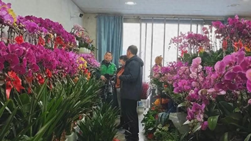 春节临近，为何市民纷纷涌向花鸟鱼市场？揭秘年货采购新趋势  第1张