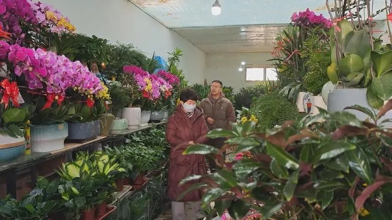 春节临近，为何市民纷纷涌向花鸟鱼市场？揭秘年货采购新趋势  第2张