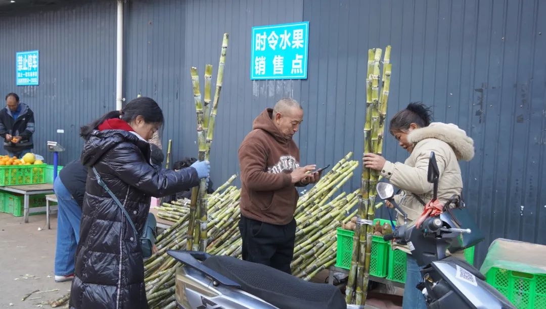 蛇年春节，华宁水果市场为何如此火爆？这些水果你绝对不能错过  第4张