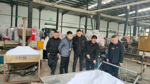 成雅工业园区春节前安全检查大揭秘！你的安全他们如何守护？