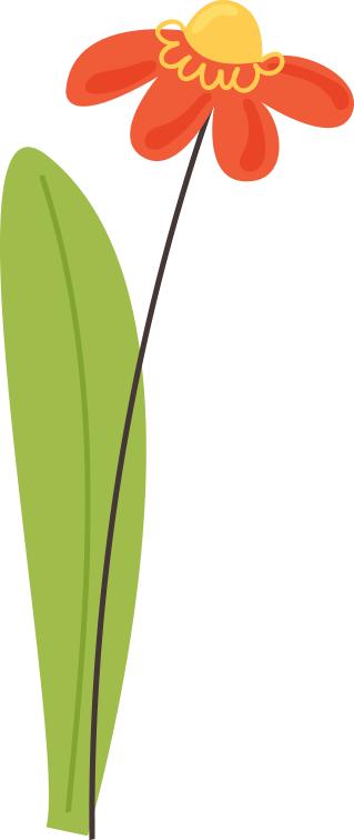 黔灵山公园塑胶跑道为何不到一年就破损？市民安全谁来保障