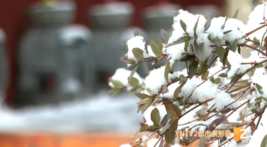 昆明气温骤降5℃，市民直呼‘早上很冷，现在不冷了’！你准备好迎接这股冷空气了吗？  第4张