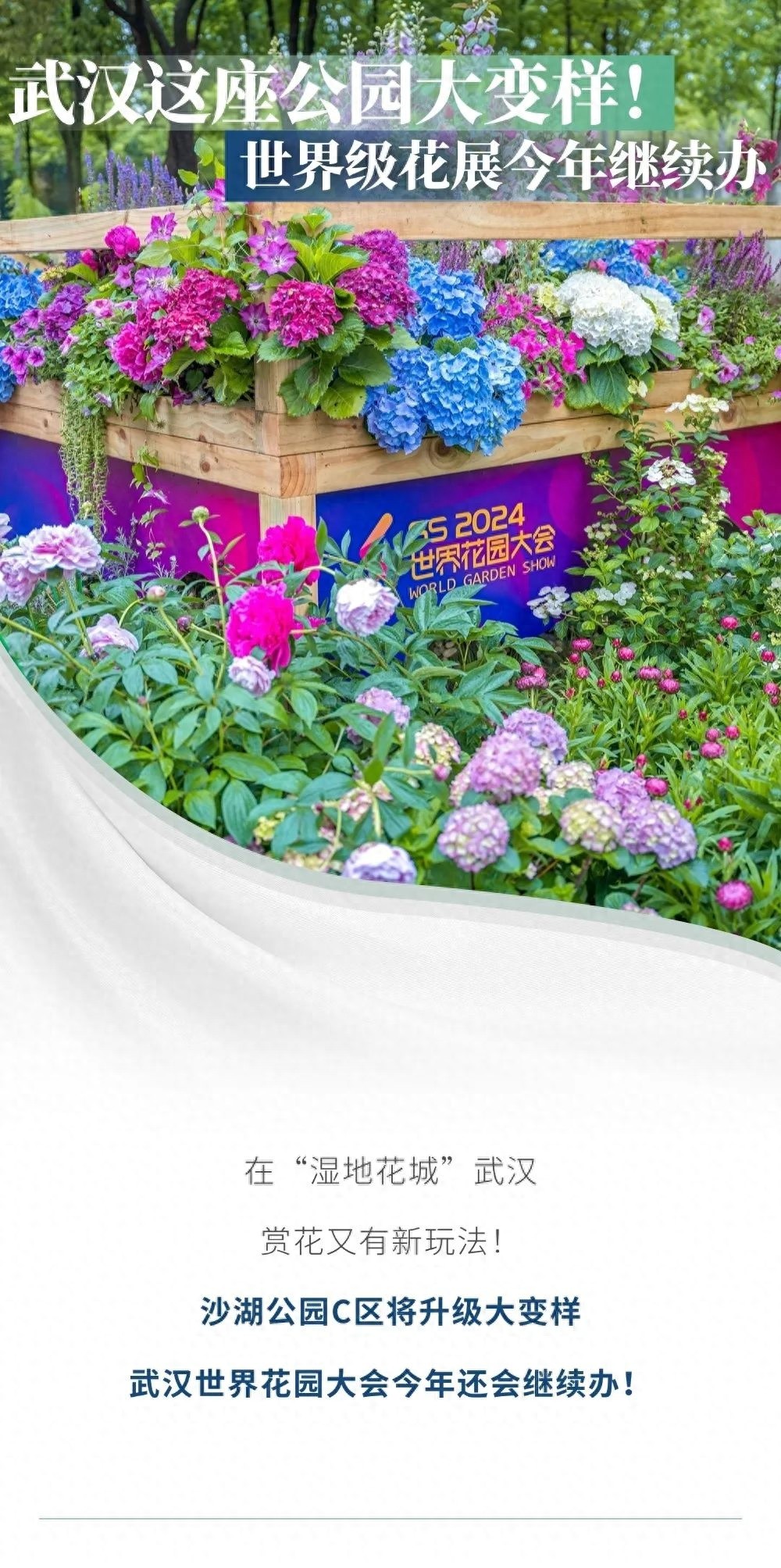沙湖公园C区改造升级，五大亮点揭秘，你期待吗？