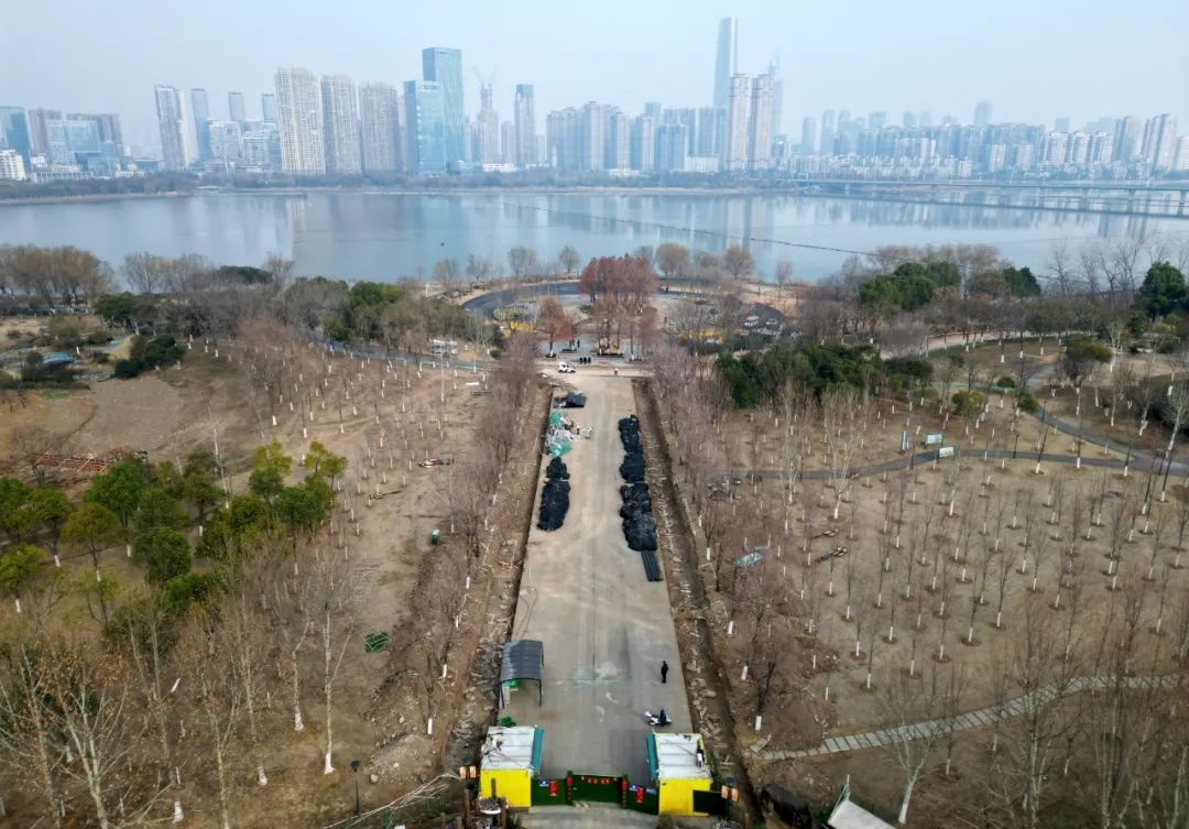 沙湖公园C区大改造！18.5公顷新景观即将亮相，你准备好了吗？  第2张
