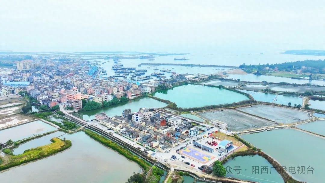 2025年元宵节阳江溪头镇渔歌会，你准备好感受疍家文化的独特魅力了吗？