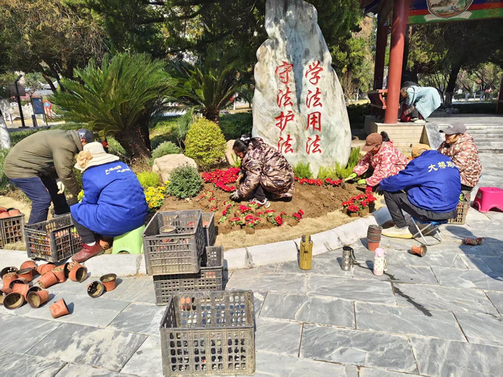 襄阳人民公园南门新花境惊艳亮相！80㎡花海等你打卡，错过等一年  第1张