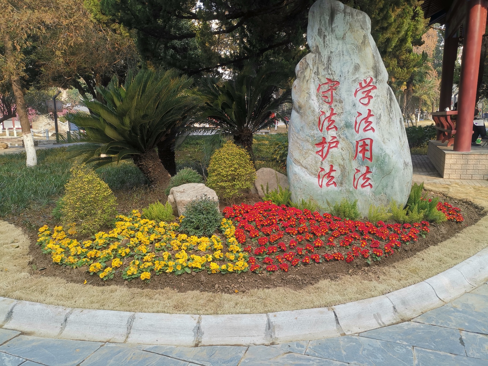 襄阳人民公园南门新花境惊艳亮相！80㎡花海等你打卡，错过等一年  第2张