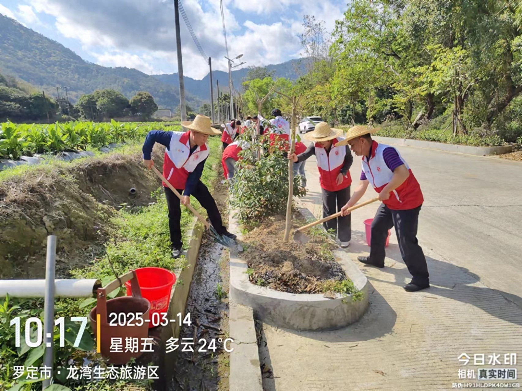 罗定市爱卫中心如何用实际行动响应绿美广东生态建设？