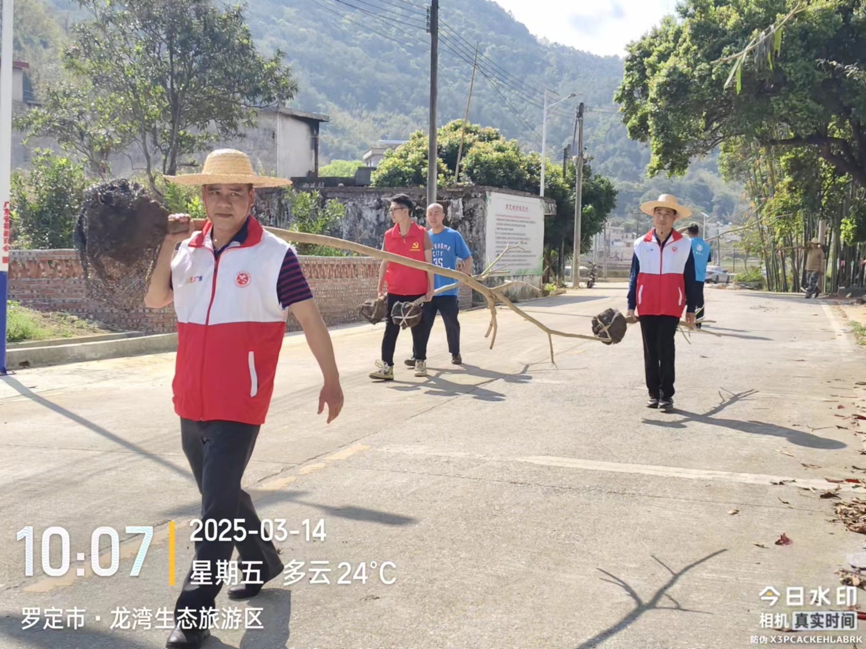 罗定市爱卫中心如何用实际行动响应绿美广东生态建设？  第2张