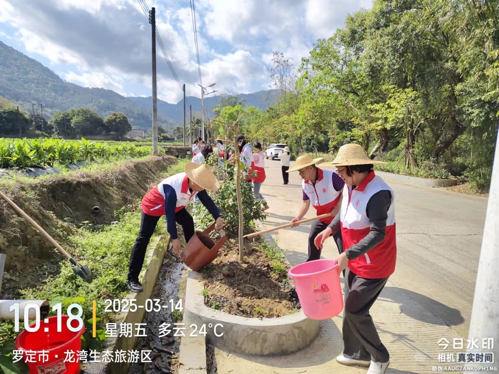 罗定市爱卫中心如何用实际行动响应绿美广东生态建设？  第3张