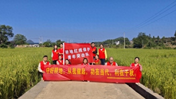 你知道吗？这片绝美油菜花田下竟藏着粮食安全的秘密  第1张
