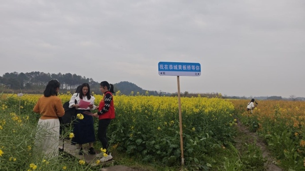 你知道吗？这片绝美油菜花田下竟藏着粮食安全的秘密  第2张