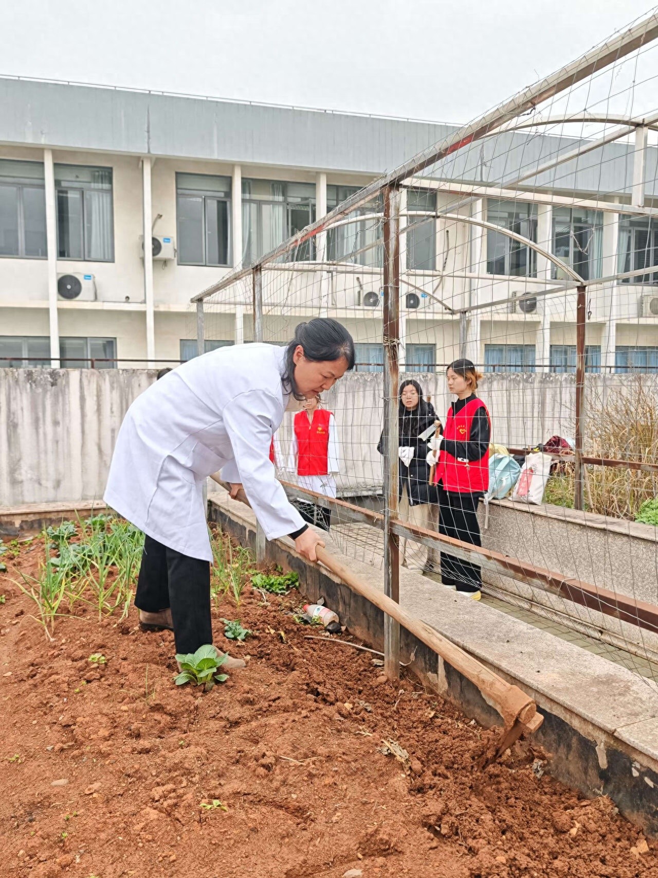 亲手种下中草药，你也能成为中药大师吗？