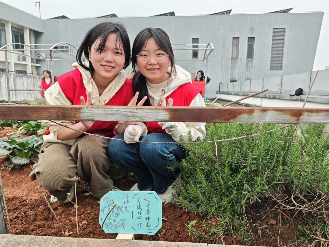 亲手种下中草药，你也能成为中药大师吗？  第3张