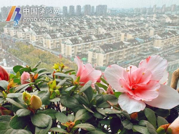 宁波今夜雨水再发力，周日终于放晴！你的周末计划受影响了吗？  第2张