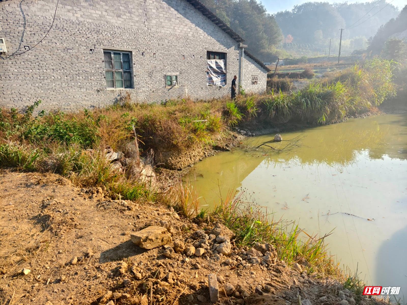 邻里互助暖心故事!老王家房屋险遭垮塌,红榜背后藏着怎样的感动? 第1张 邻里互助暖心故事!老王家房屋险遭垮塌,红榜背后藏着怎样的感动? 第1张