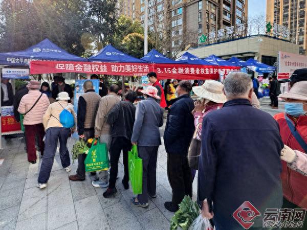 如何在3·15权益日提升投资风险意识？国泰君安证券云南投教基地的创新方法揭秘